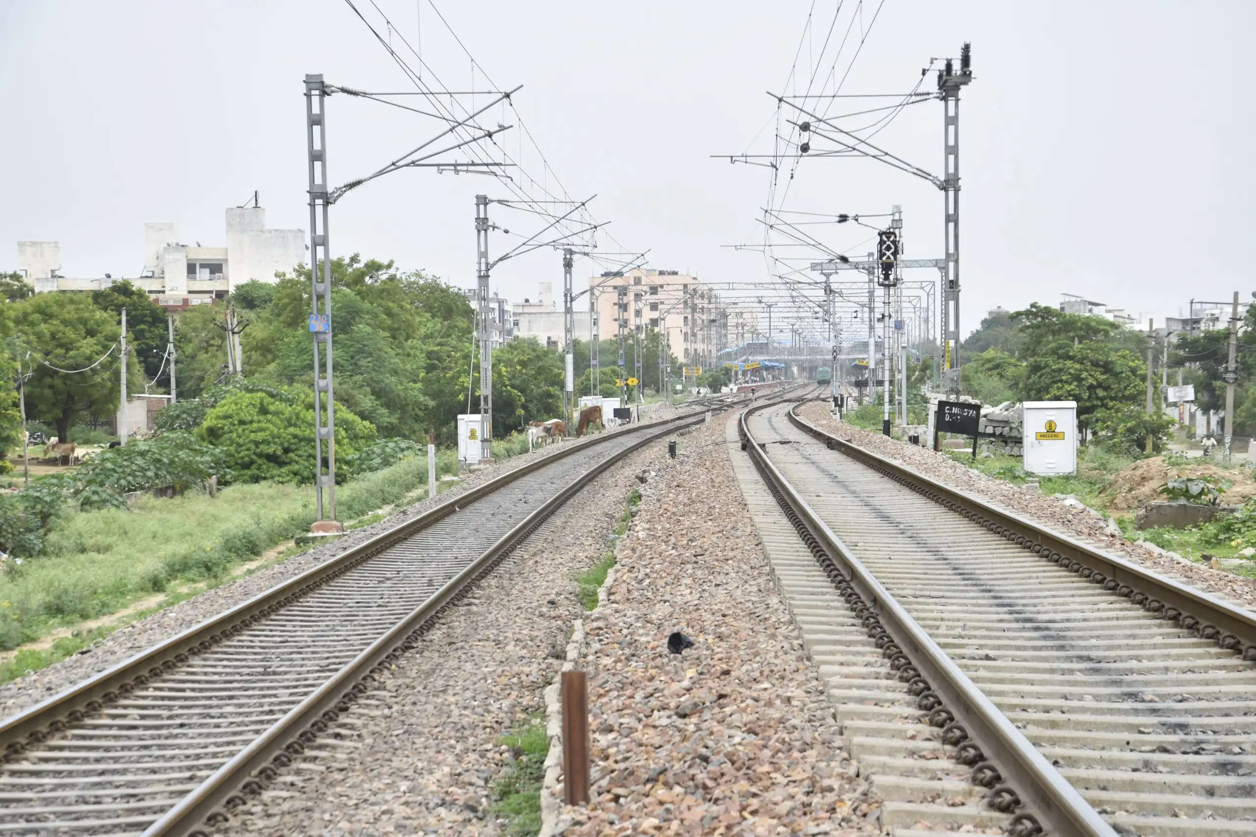 राइकाबाग को मिलेगा सर्वश्रेष्ठ रेलवे स्टेशन का पुरस्कार, समारोह 22 को जयपुर