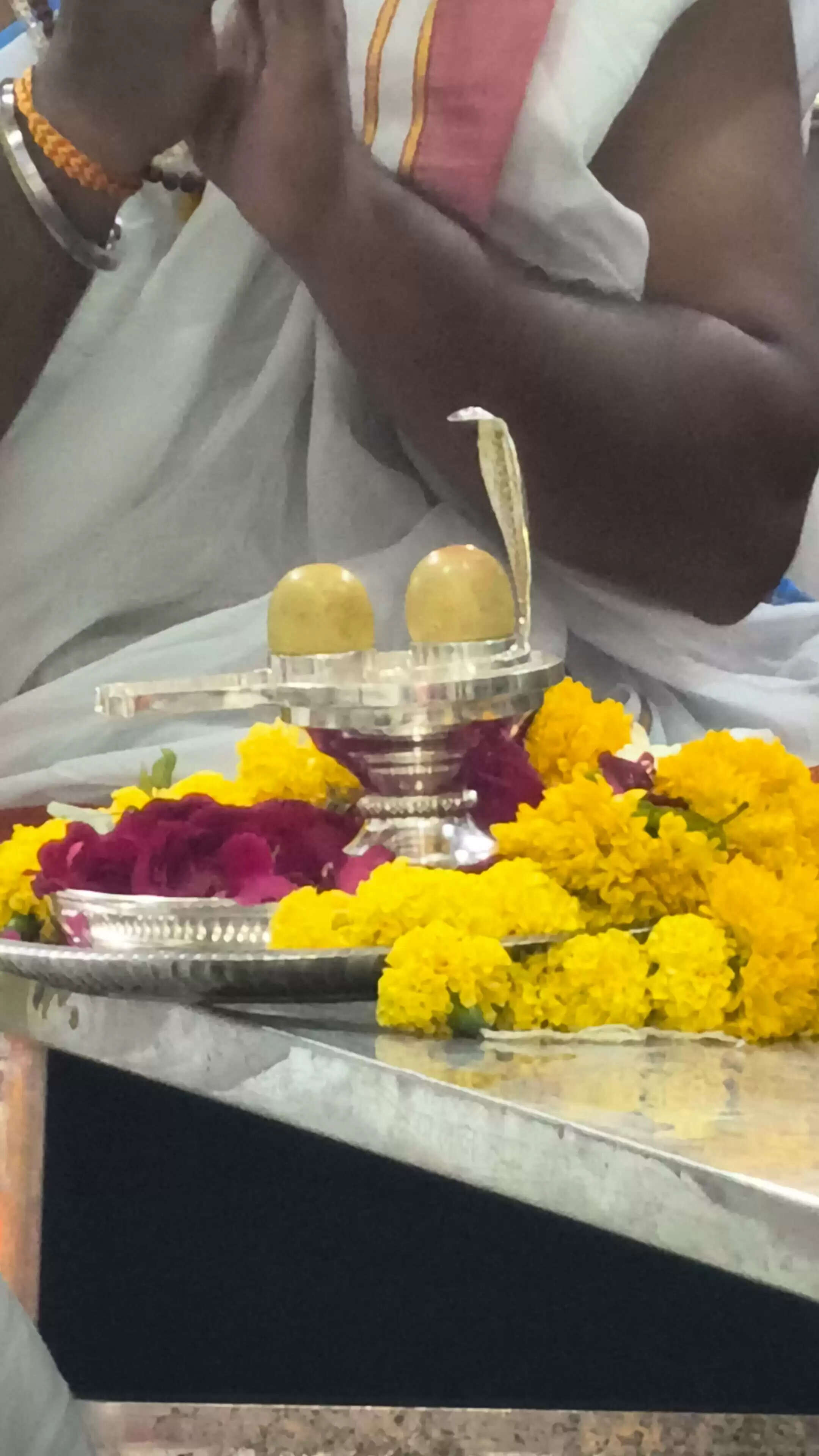 उज्जैन: सोमनाथ के पुरातात्विक अवशेषों से निर्मित दिव्य शिवलिंगों का महाकाल मंदिर में आगमन