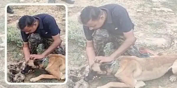 मध्य प्रदेश एसटीएसएफ की बड़ी कार्रवाई, तेंदुआ शिकार गिरोह का भंडाफोड़, 7 आरोपी गिरफ्तार