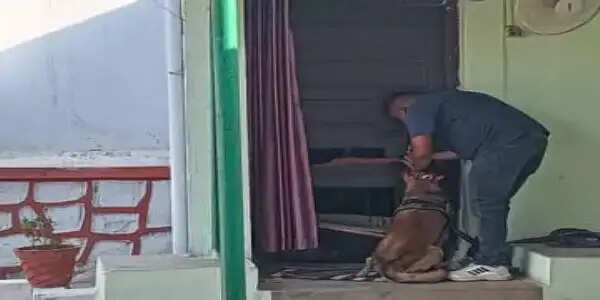 कोरबा : रिटायर्ड एएसआई के सूने घर में फिर चोरी, बारात में गए थे परिवार वाले