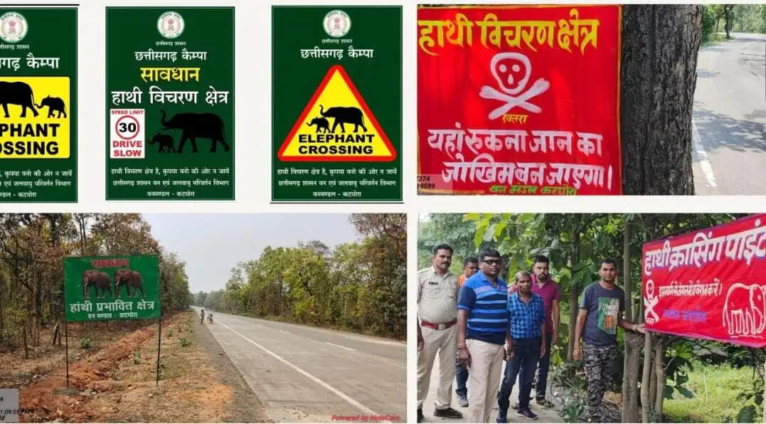 कोरबा का मानव-हाथी प्रबंधन मॉडल बना देश के लिए मिसाल, तकनीक और जनभागीदारी से घट रहा संघर्ष