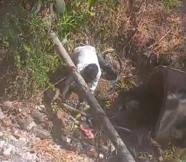 धार के गांव में तेंदुए का आतंक, चार ग्रामीण और वनकर्मी घायल; सर्च ऑपरेशन जारी