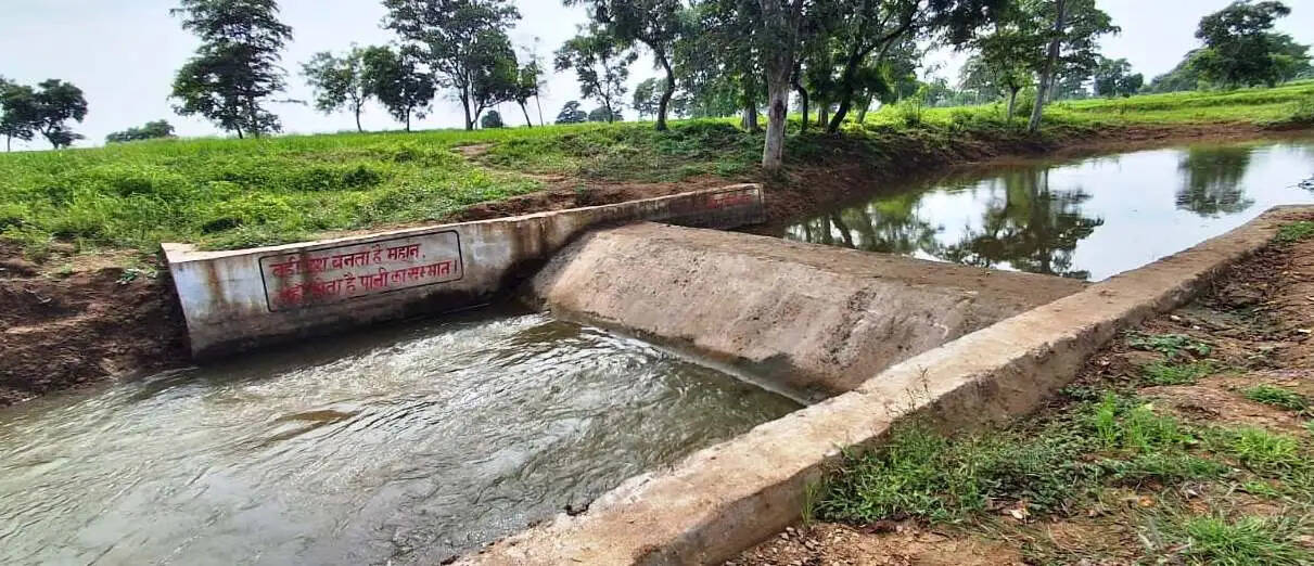 चेकडेम ने बदली सरवानी गांव की तस्वीर, खेती को मिला सिंचाई का सहारा