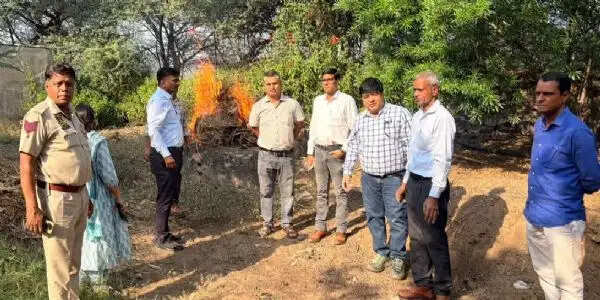 एमएनआईटी परिसर में मिला आठ माह के लेपर्ड शावक का शव