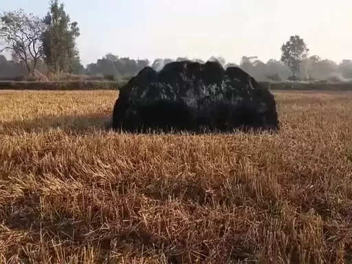 जांजगीर चांपा: खैरा गांव में खेतों की धान की खरही में लगी आग, किसानों को लाखों का नुकसान