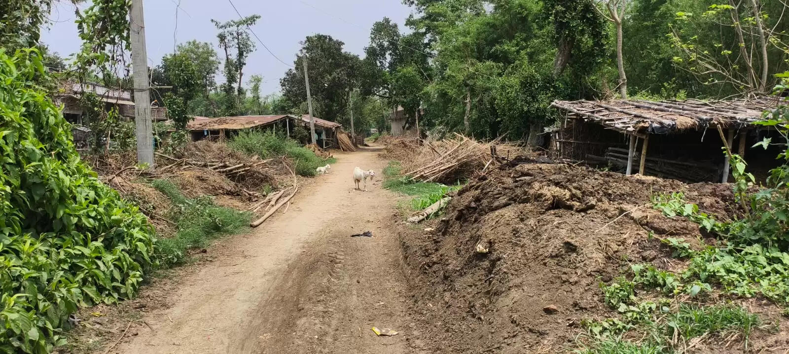 सड़क पक्कीकरण की आस में पथरा गई ग्रामीणों की आंखें