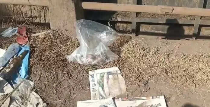 कोरबा : एनटीपीसी नहर में मिला एक साल से कम उम्र के मासूम का शव, मचा हड़कंप