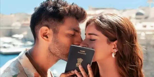 'तू मेरी मैं तेरा...' में कार्तिक के साथ दिखेंगी अनन्या पांडे