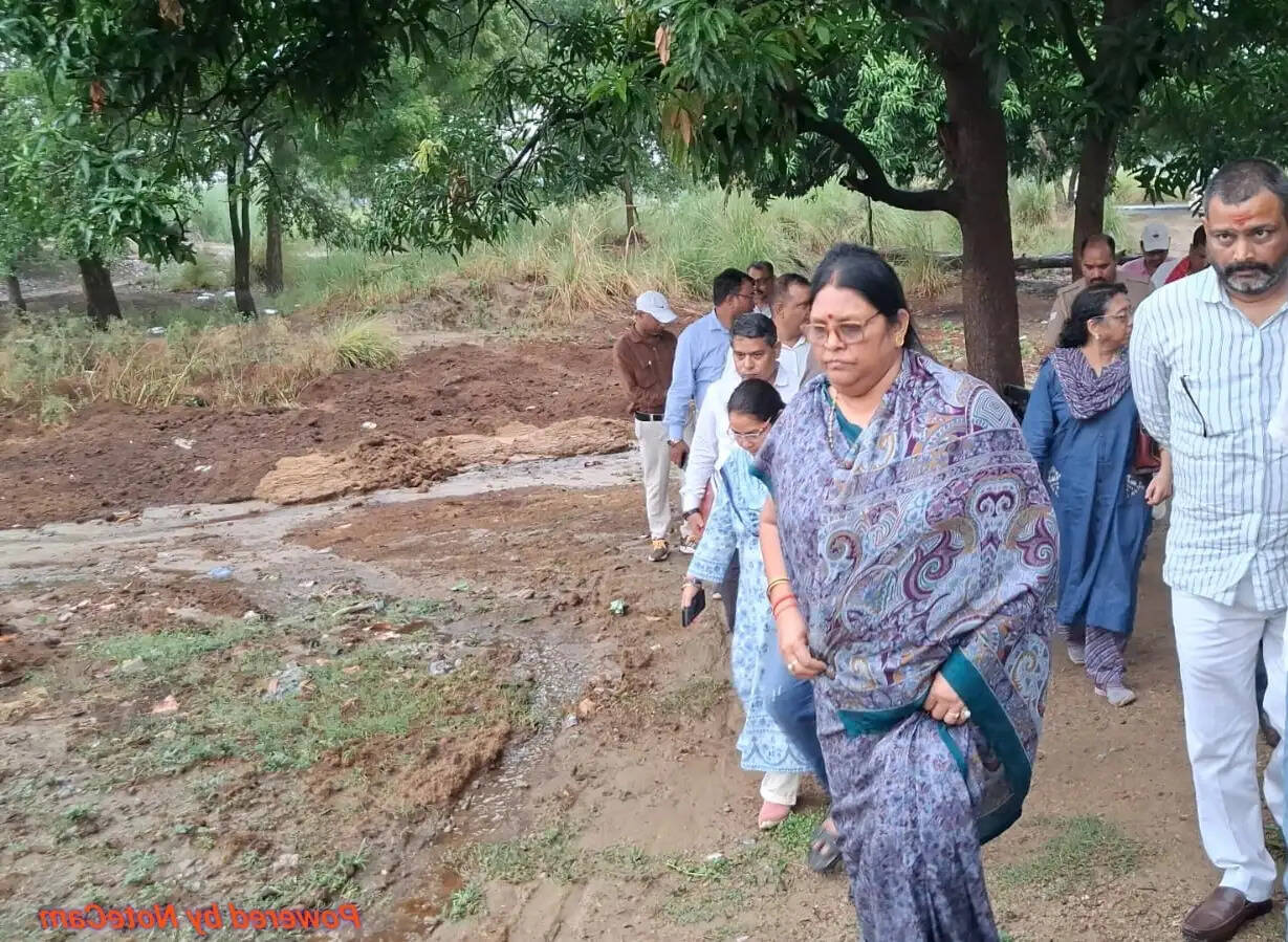 भोगांव गौशाला पहुंची&nbsp;राज्यमंत्री, साल भर हरा चारा उपलब्ध कराने के निर्देश