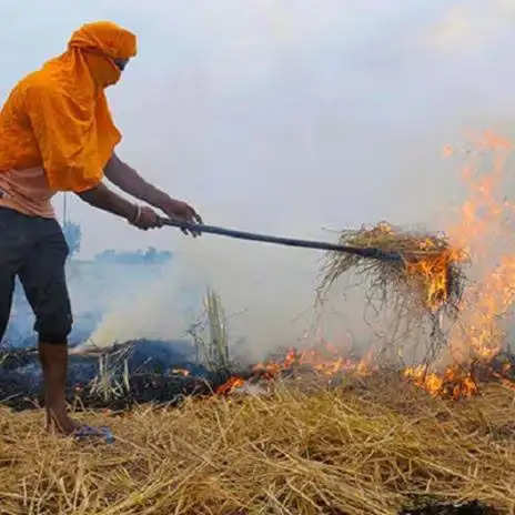 पलवल : पराली जलाने वाले पांच किसानों पर एफआईआर दर्ज