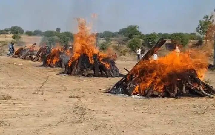 मप्र के रतलाम के ग्राम खोजनखेड़ा में एक साथ जलीं छह लोगों की चिताएं, मंदसौर हादसे में हुई थी 12 लोगों मौत
