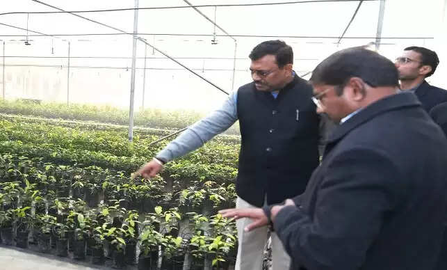 सगन्ध पौधा केन्द्र का मुख्य सचिव ने किया निरीक्षण, किसानों की आय बढ़ाने पर दिया जोर