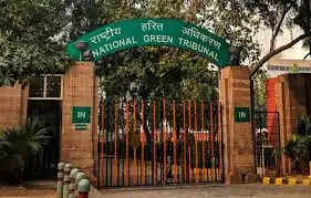 क्रिकेट स्टेडियमों में भूजल उपयोग पर एनजीटी सख्त, भेजा नोटिस