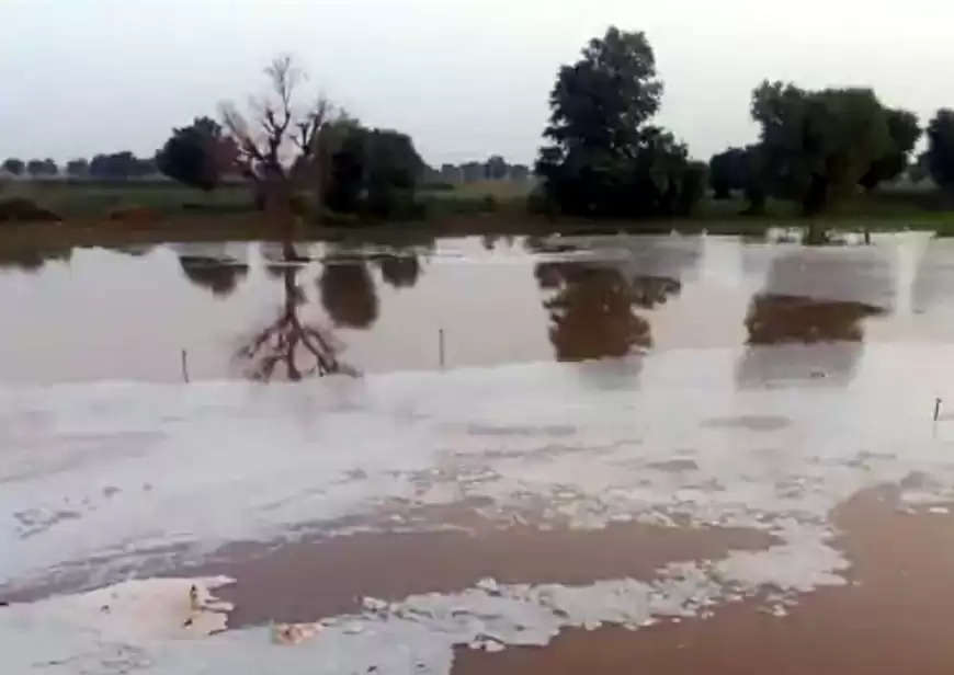 माइनर का एक हिस्सा टूटने से क्षेत्र के खेत जलमग्न, खेतों में खड़ी फसल पूरी तरह बर्बाद