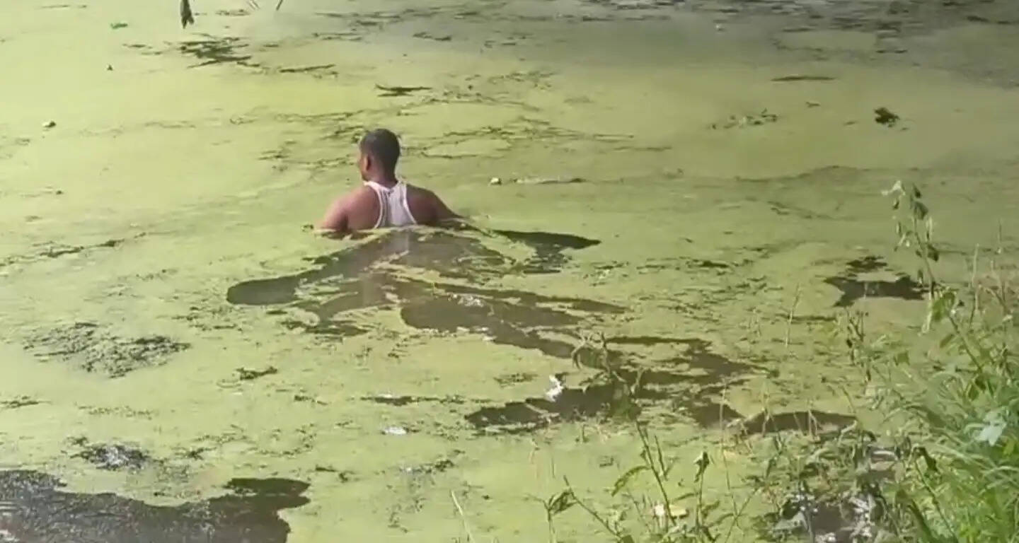 युवक ने तालाब में कूदकर की आत्महत्या