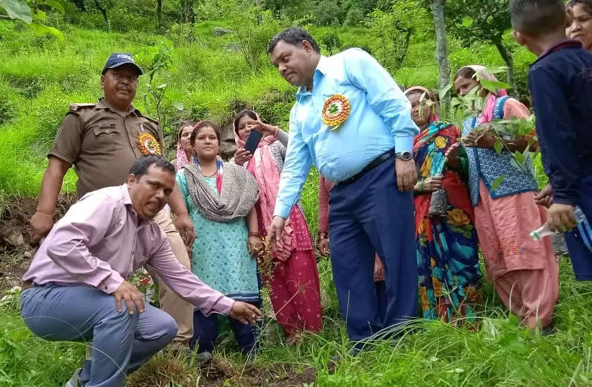 महिलाओं ने गढ़वाली गीत गाकर किया पौधरोपण