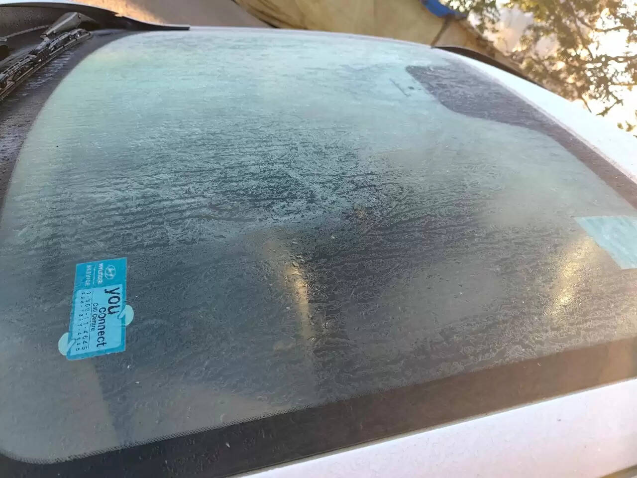 अनूपपुर: सर्दी का थर्ड डिग्री, अमरकंटक में बि‍छी बर्फ की सफेद चादर