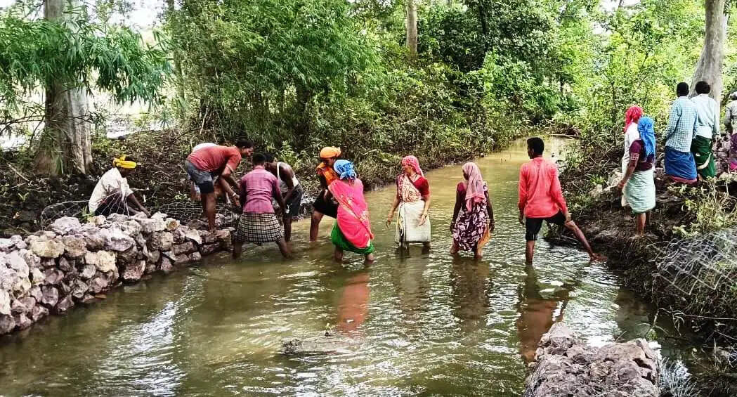 विकसित भारत जी राम जी योजना से बदल रही गांवों की तस्वीर, गेबियन स्ट्रक्चर से जल संरक्षण और रोजगार को मिली रफ्तार
