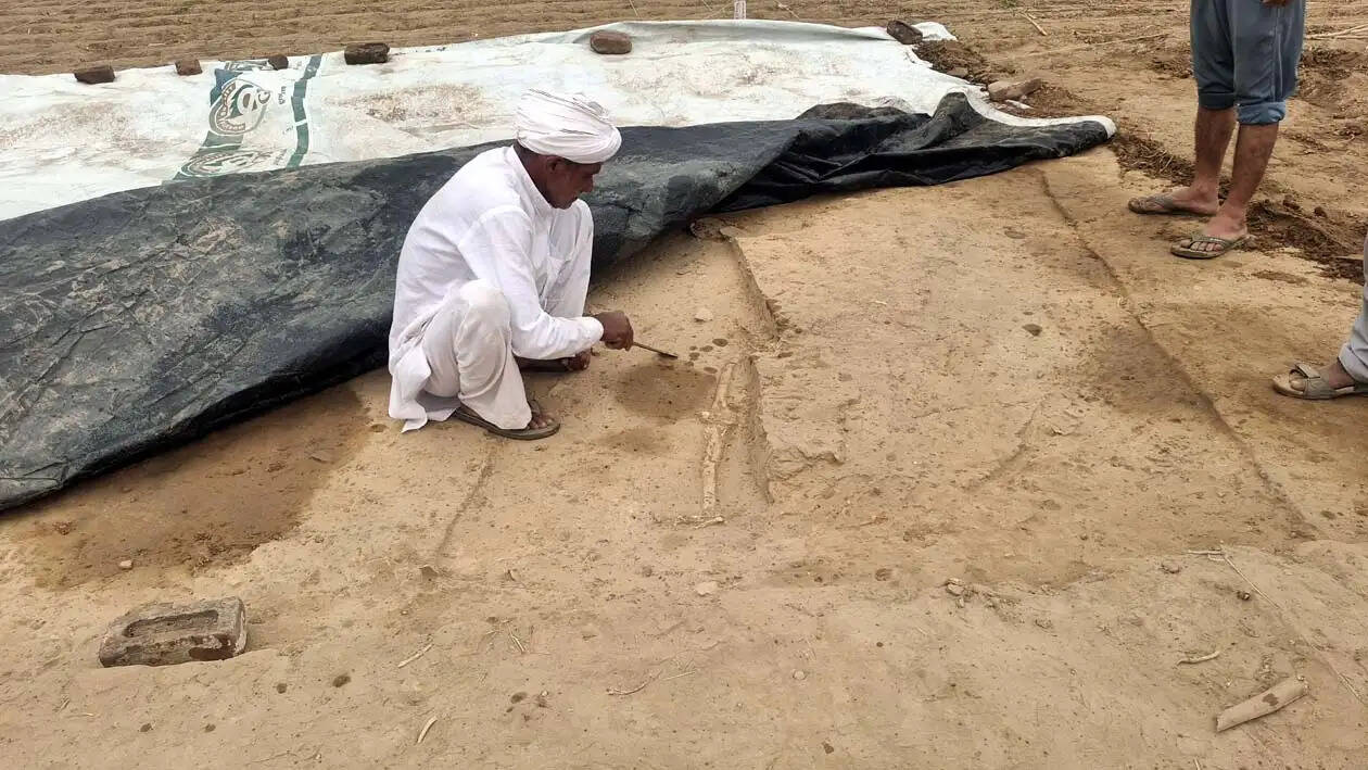 हिसार : राखीगढ़ी के टीले पर खुदाई के दौरान मिला कंकाल