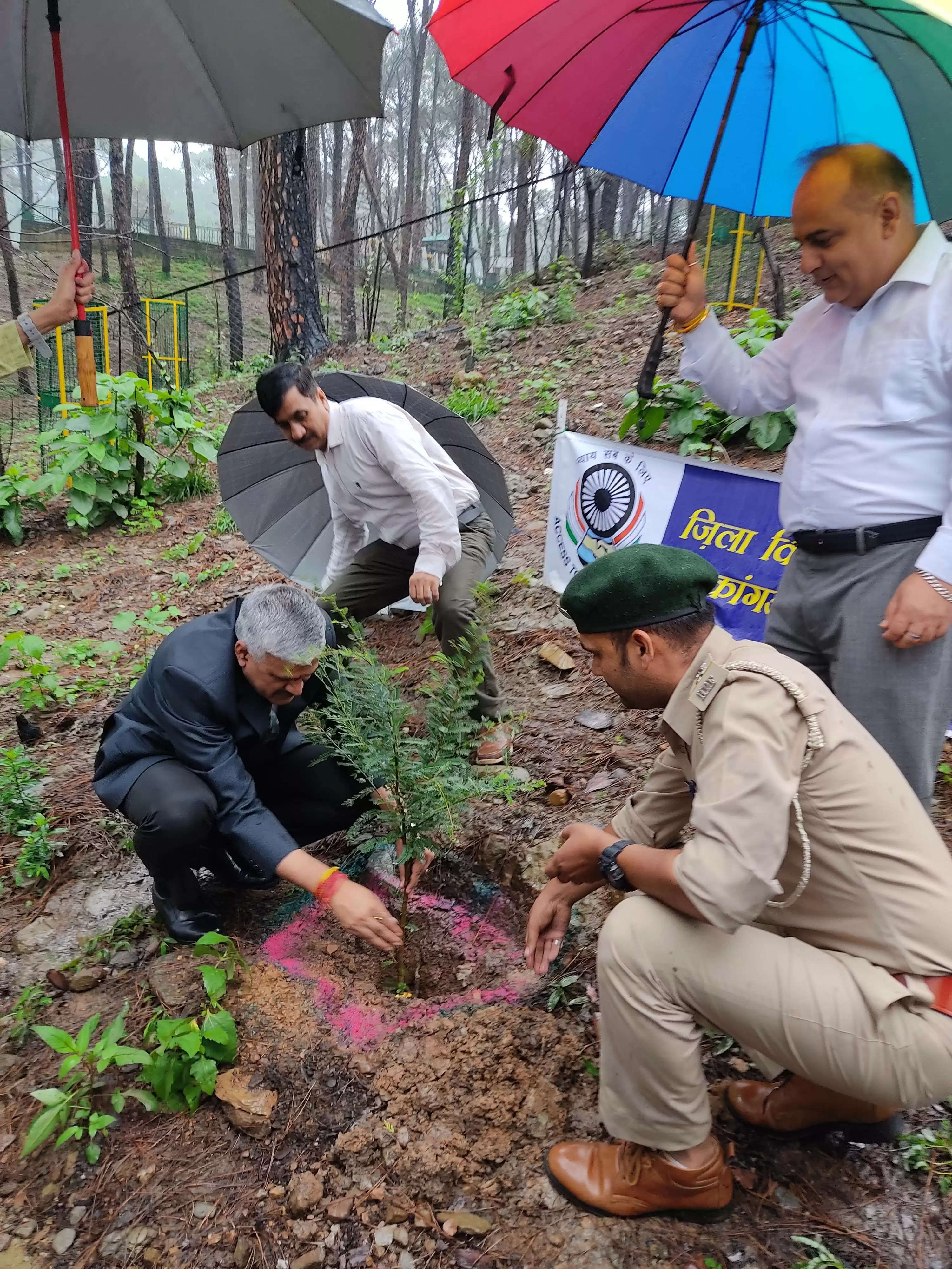 जिला एवं सत्र न्यायाधीश ने पौधरोपण कर दिया पर्यावरण संरक्षण का संदेश