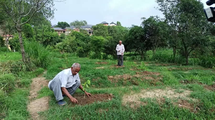 झिंझकरी गांव अमरूद के बागीचे से होगा गुलजार, लाभान्वित होंगे के 27 किसान