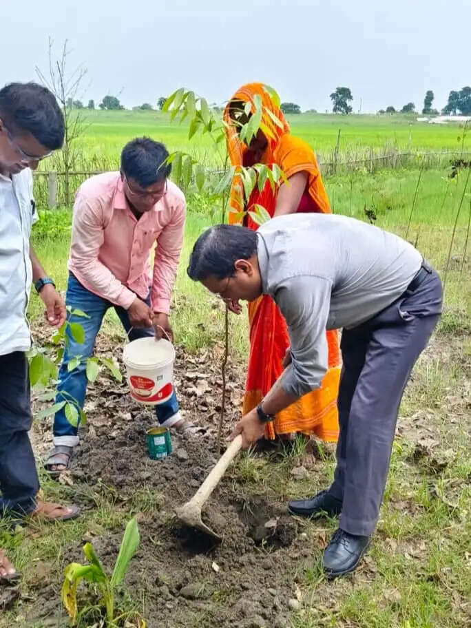 कुनौली में पौधरोपण की नई यूनिट का शुभारंभ, पौधों की 100 प्रतिशत उत्तरजीविता पर जोर