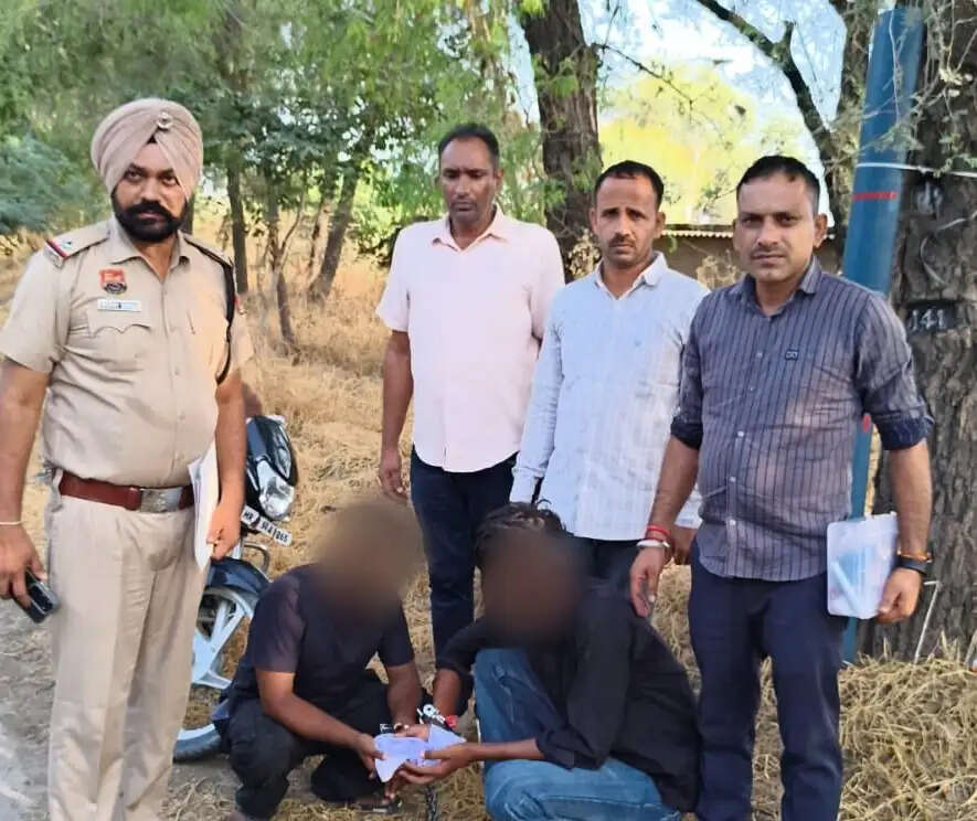 सिरसा: चार नशा तस्कर गिरफ्तार, चूरापोस्त व हेरोइन बरामद