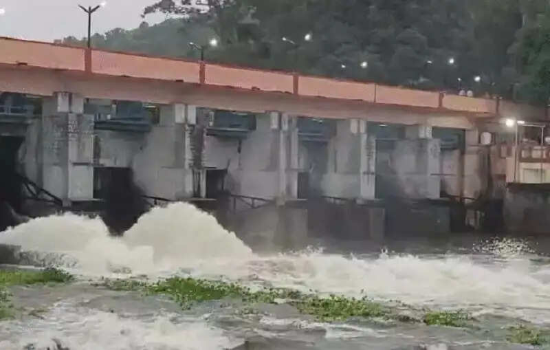 मप्र में भारी बारिश से नर्मदा-मंदाकिनी उफान पर, कई जिलों में बाढ़ के हालात