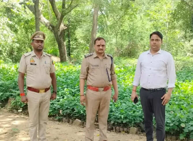 नवागत वन्यजीव प्रतिपालक ने किया पौधशाला व मृदा कार्य का निरीक्षण, समय से पौधरोपण के दिए निर्देश
