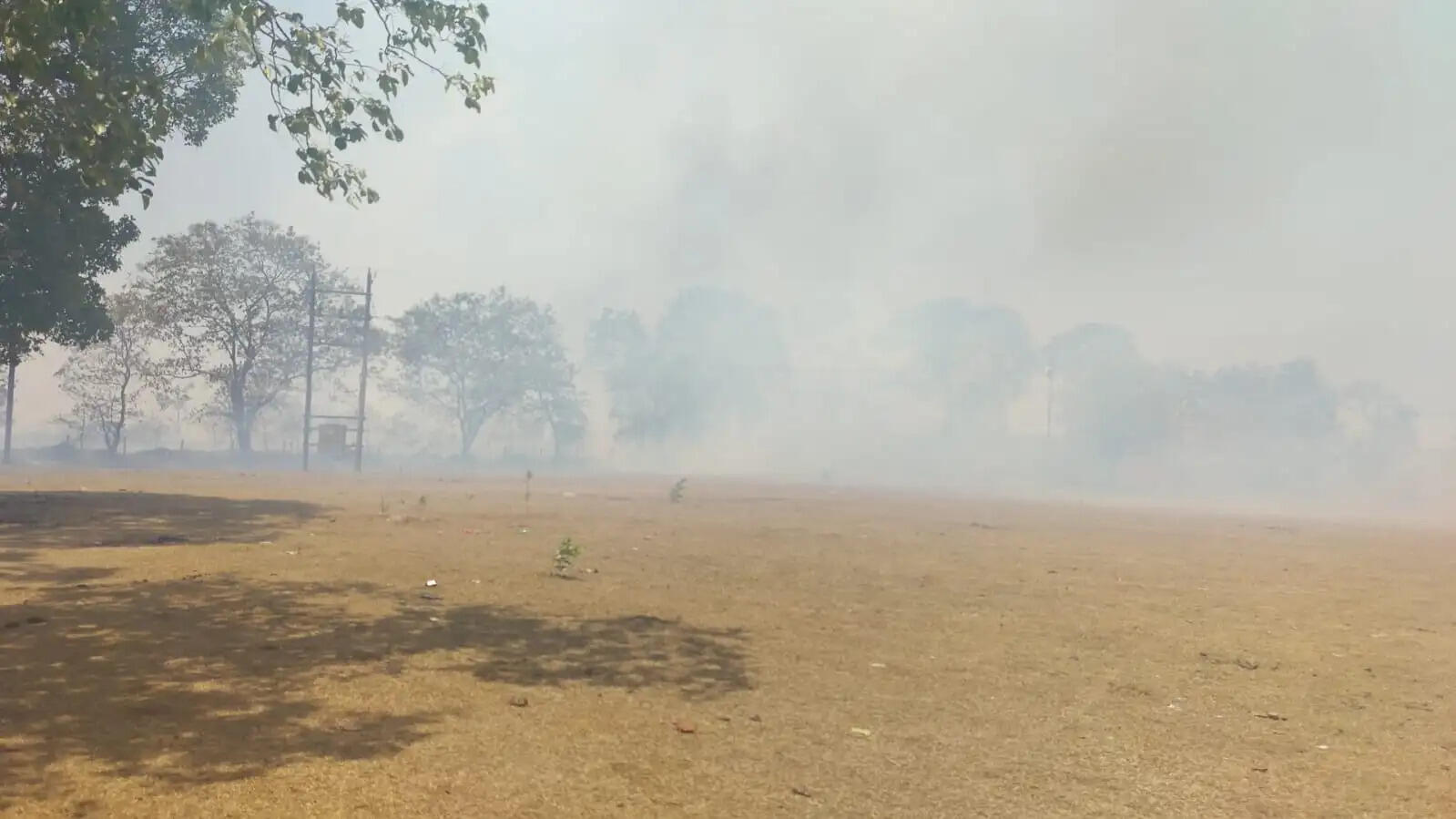 अनूपपुर: अमरकंटक के जमुना दादार, रुद्र गंगा भीषण आग, 50 हेक्टेयर क्षेत्र में 27,500 औषधीय पौधे जलकर राख