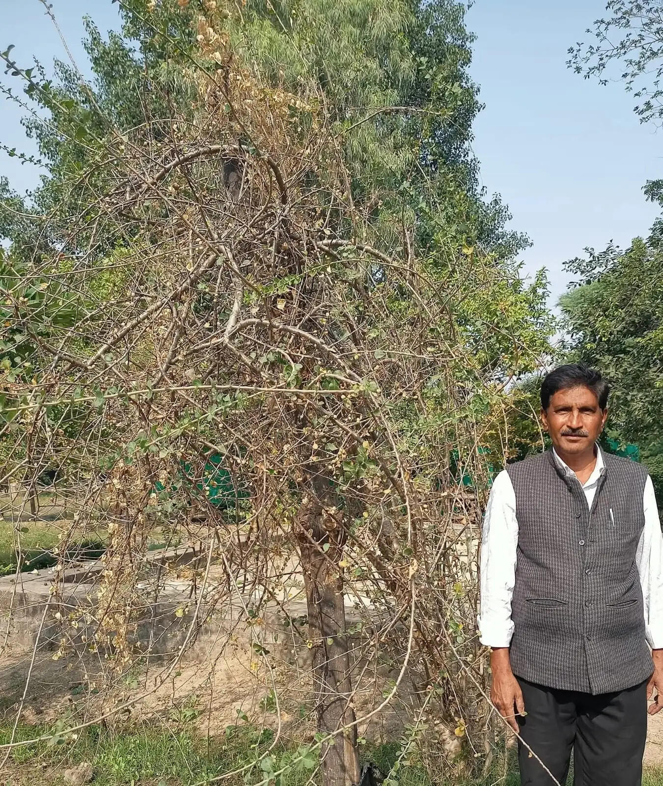 गूगल के संरक्षण के लिए वैज्ञानिक शोध और जनजागरूकता जरूरी: जाकिर हुसैन