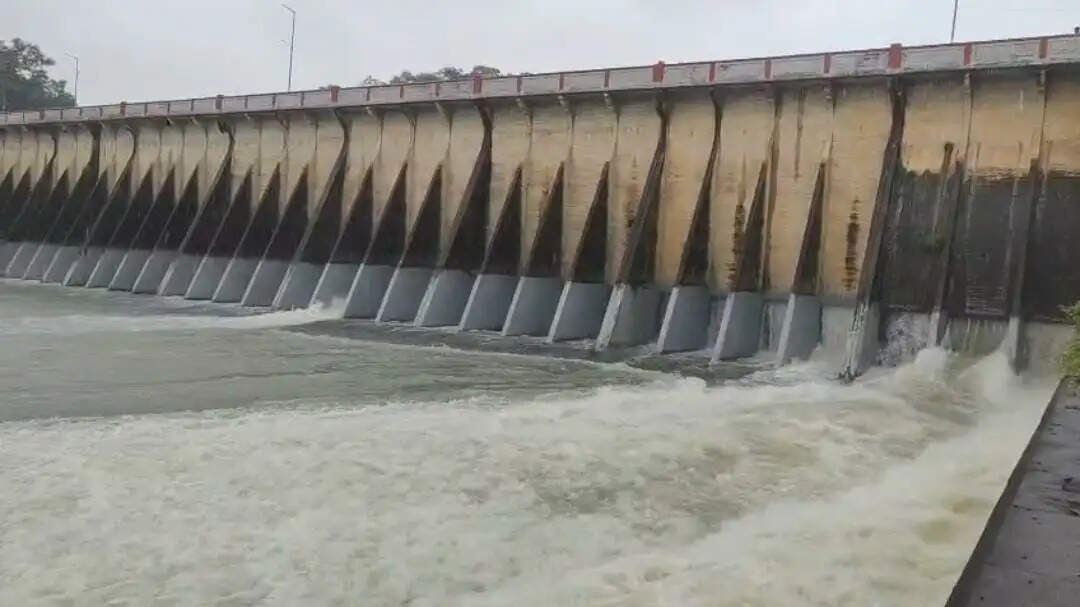 झमाझम बारिश से छलक रहा गंगरेल बांध, कभी भी खुल सकते हैं गेट, नदी किनारे के गांव हाई अलर्ट पर