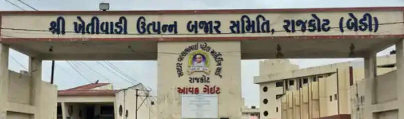 मूंगफली के बम्पर उत्पादन का असर, मूंगफली तेल का भाव 4 साल में सबसे कम