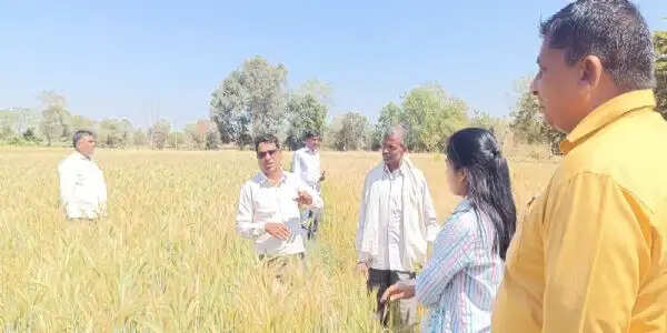 कृषक कल्याण वर्ष 2026’ में छिंदवाड़ा बना जलवायु अनुकूल खेती का मॉडल