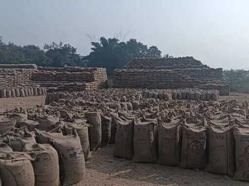 अनूपपुर: खुले में रखी 4.33 लाख क्विंटल धानए वाहनों की कमी से उठाव धीमा