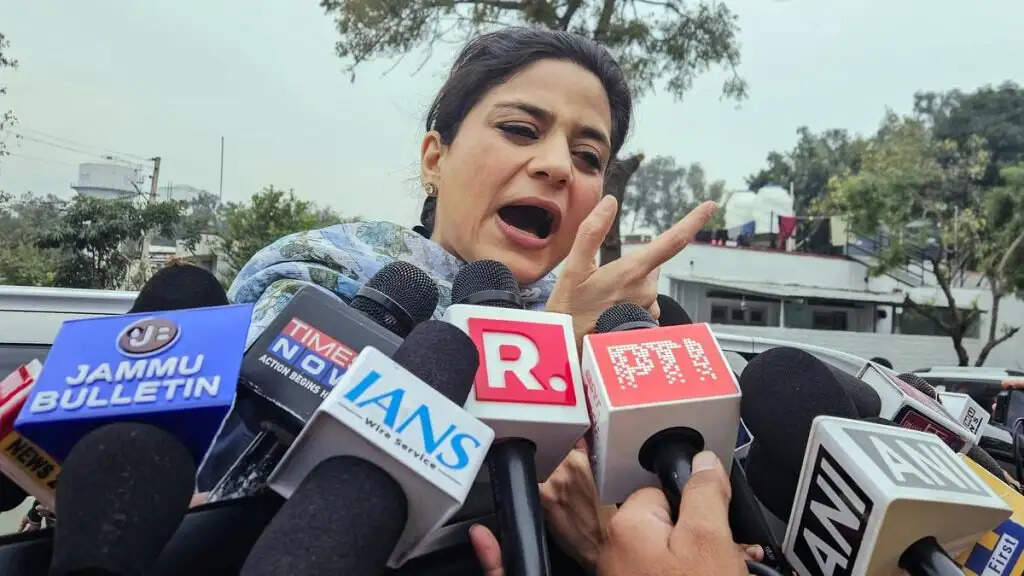 नेशनल कॉन्फ्रेंस पर वक्फ संशोधन अधिनियम के खिलाफ़ आवाज़ न उठाकर देश के मुसलमानों को निराश करने का आरोप लगाया- इल्तिजा मुफ़्ती