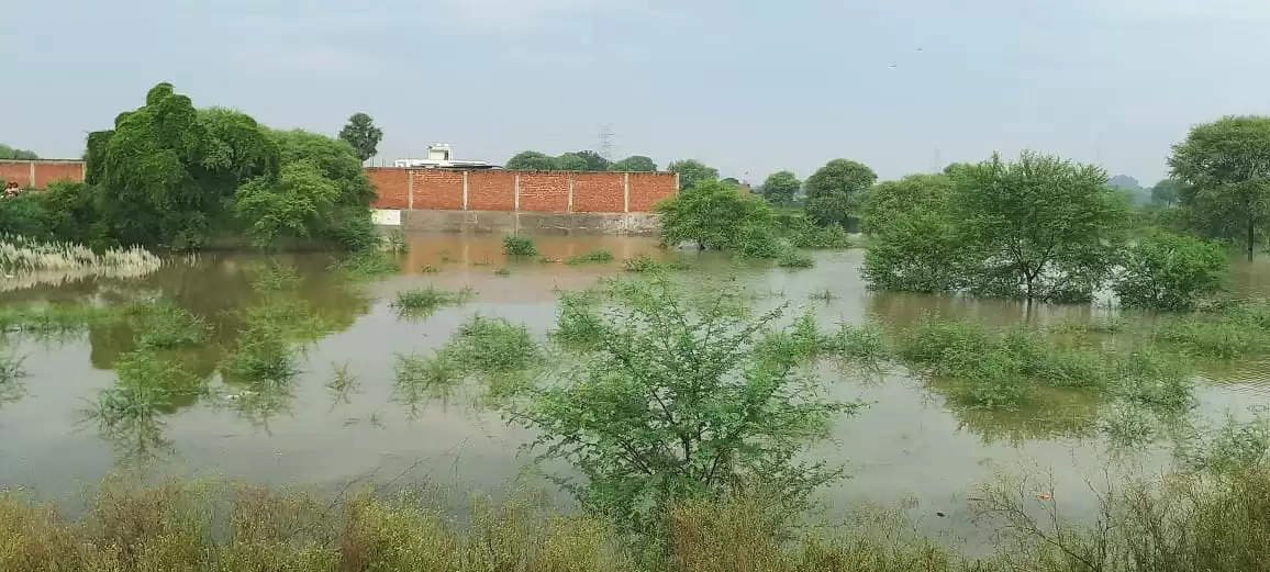 वाराणसी:गंगा का जलस्तर खतरे के निशान के समीप,तटवर्ती क्षेत्र टापू बने