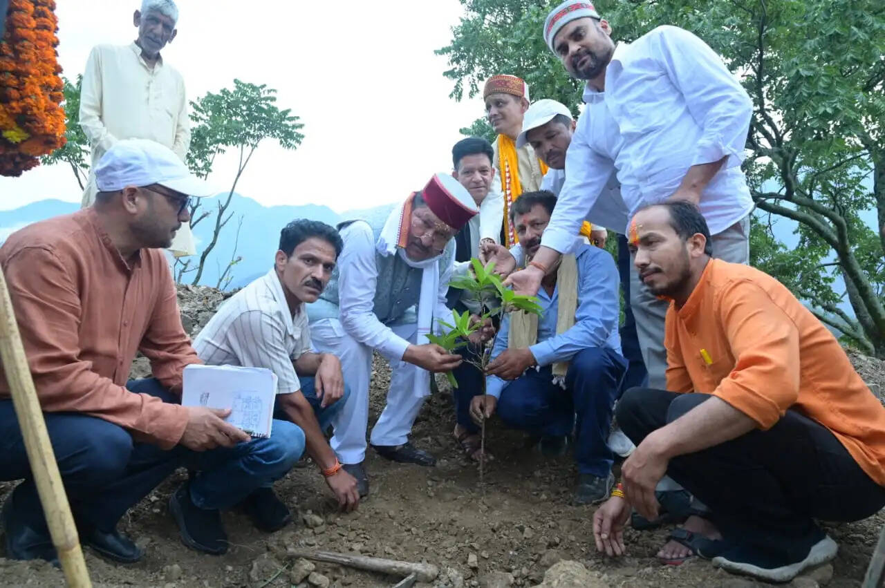मंत्री भरत सिंह चौधरी ने 'एक पेड़ गुरु के नाम' अभियान का किया शुभारंभ