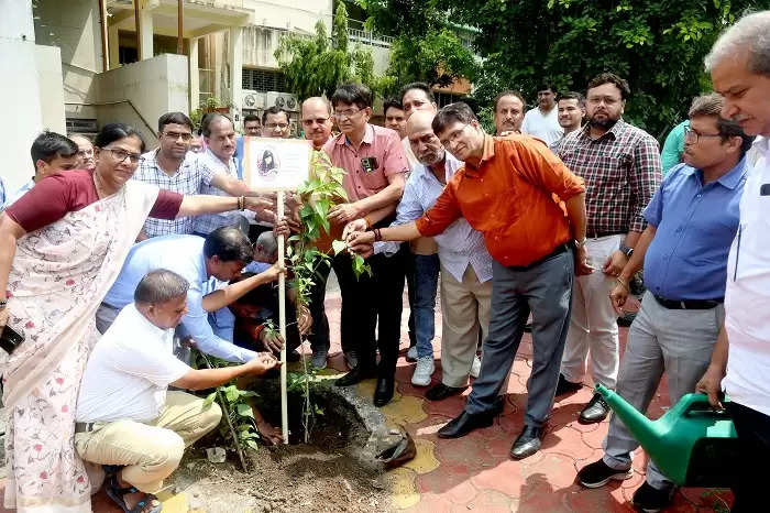 भोपाल : स्व. पूजा थापक की स्मृति में जनसम्पर्क परिसर में विभागीय अमले ने रोपा पौधा