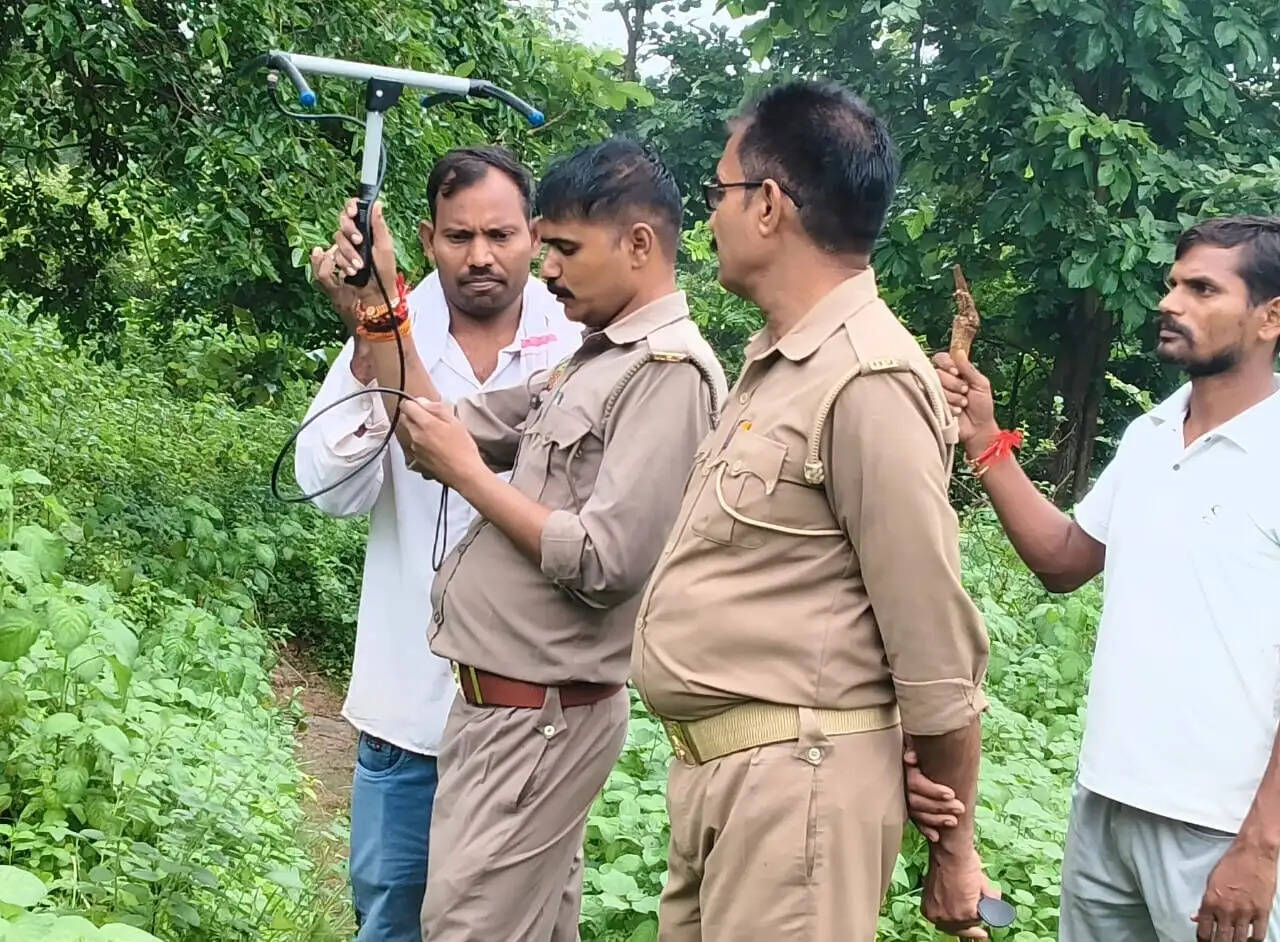 मध्य प्रदेश से भटककर मीरजापुर पहुंचे गजराज, गर्भवती हथिनी के साथ जंगल में डाला डेरा