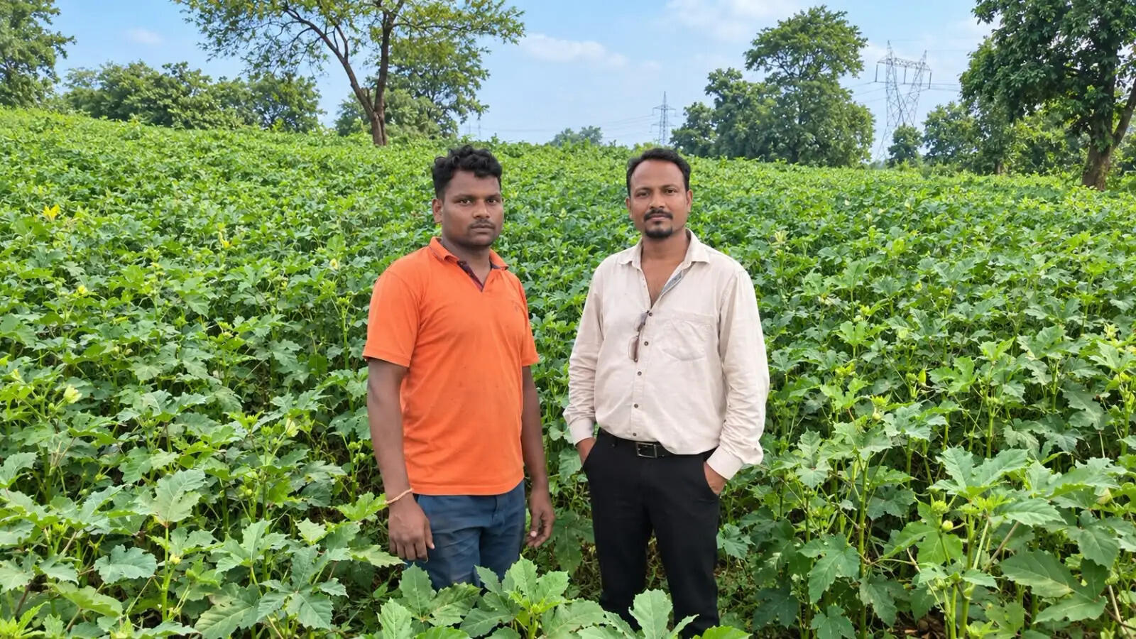 आधुनिक खेती से संवर रहा परिवार का भविष्य, सब्जी उत्पादन से बढ़ी सुमरन सिंह की आमदनी