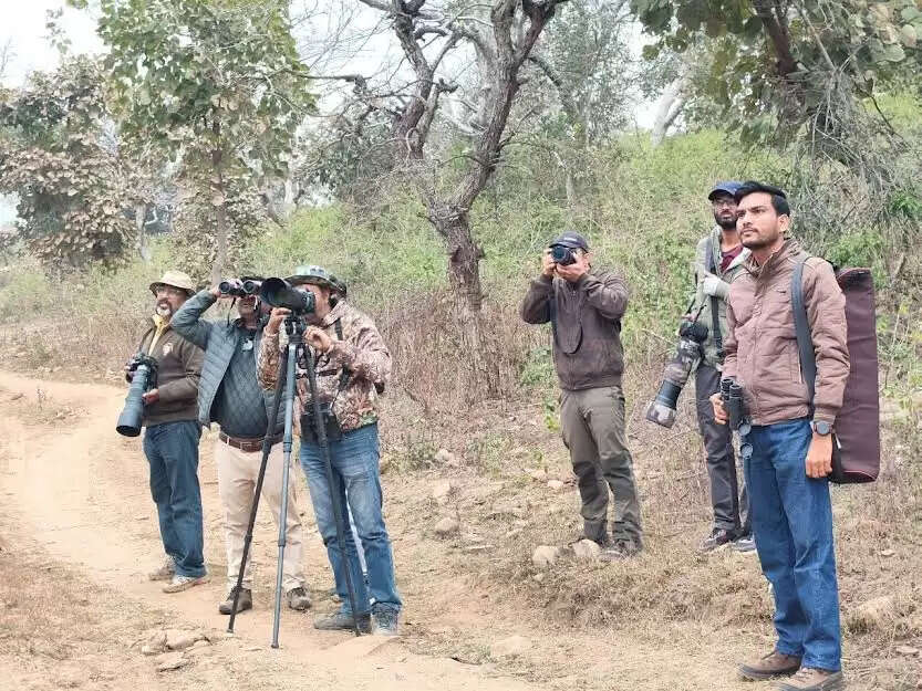गांधीसागर की आर्द्रभूमियों में पंखों की गिनती, प्रथम एशियन वॉटरबर्ड सेंसस में दिखी जैव विविधता की समृद्ध तस्वीर