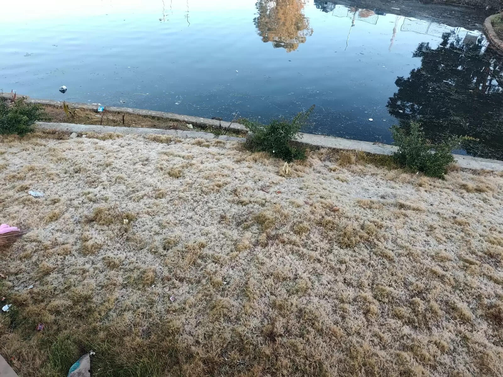 अनूपपुर: सर्दी का थर्ड डिग्री, अमरकंटक में बि‍छी बर्फ की सफेद चादर