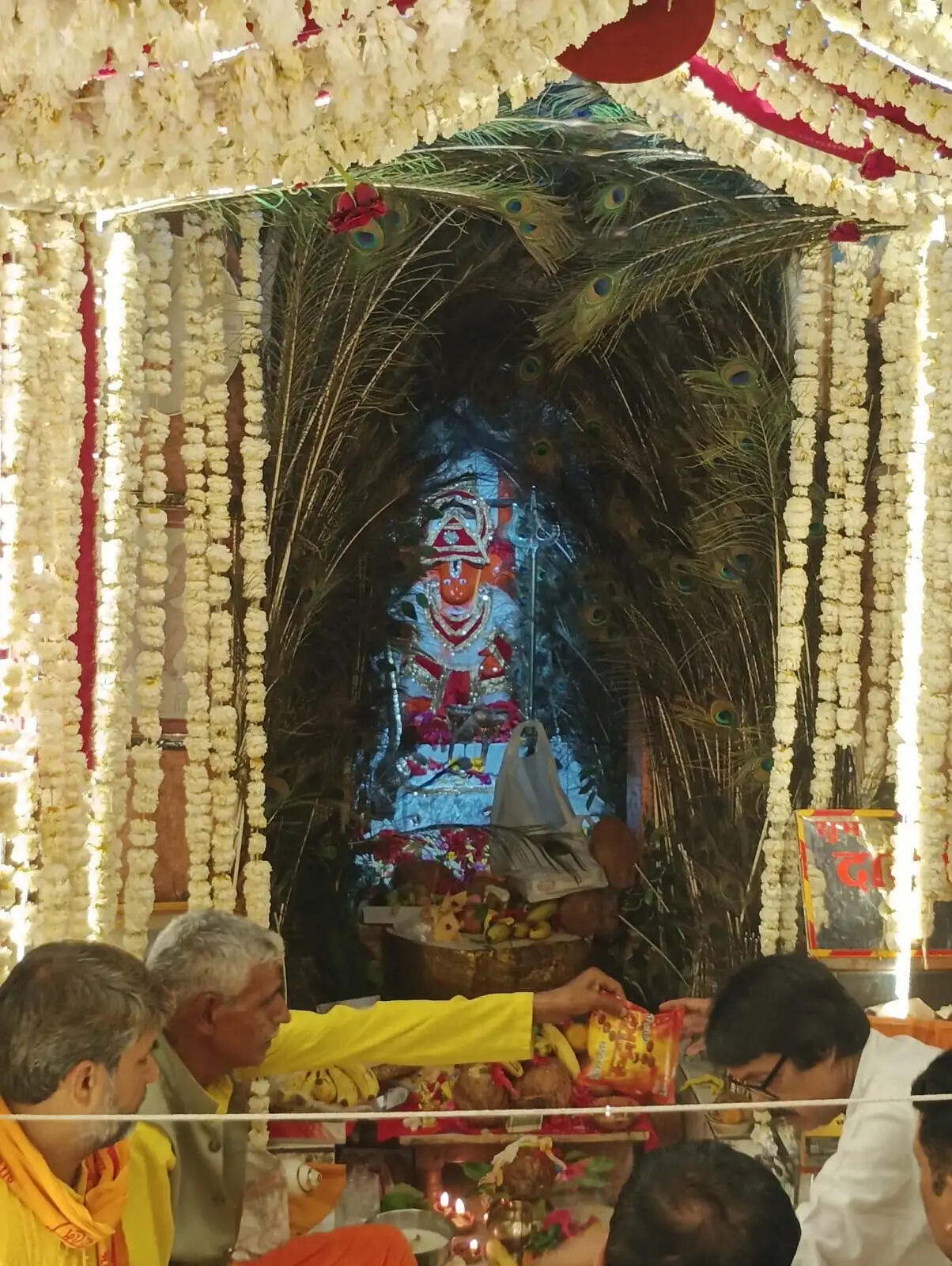 अनूपपुर: जिले भर में रहीं हनुमान प्रकट्योत्सव की धूम, निकाली गई शोभायात्रा