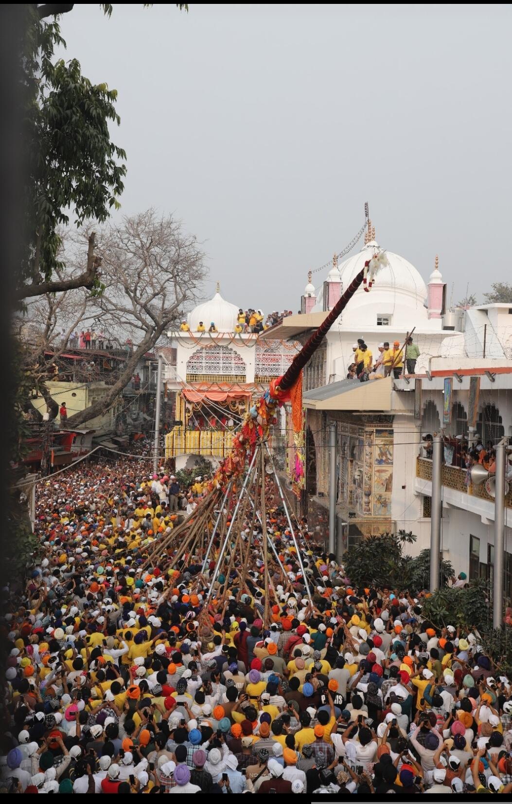 (अपडेट) दरबार साहिब में आस्था का सैलाब, देश-विदेश से पहुंचे श्रद्धालुओं ने लिया आशीर्वाद