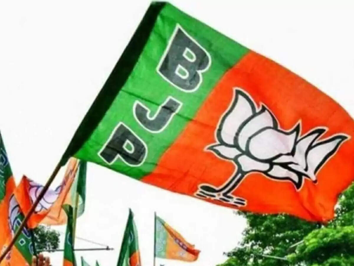 भाजपा राजस्थान मोर्चों के प्रदेश अध्यक्ष नियुक्त: संगठन को मिला नया नेतृत्व