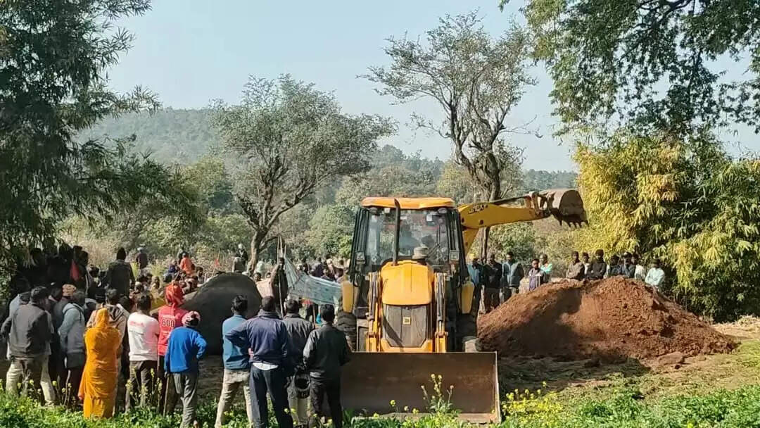 चिकित्सकों ने एंथ्रेक्स बीमारी से हाथी की मौत की जताई संभावना