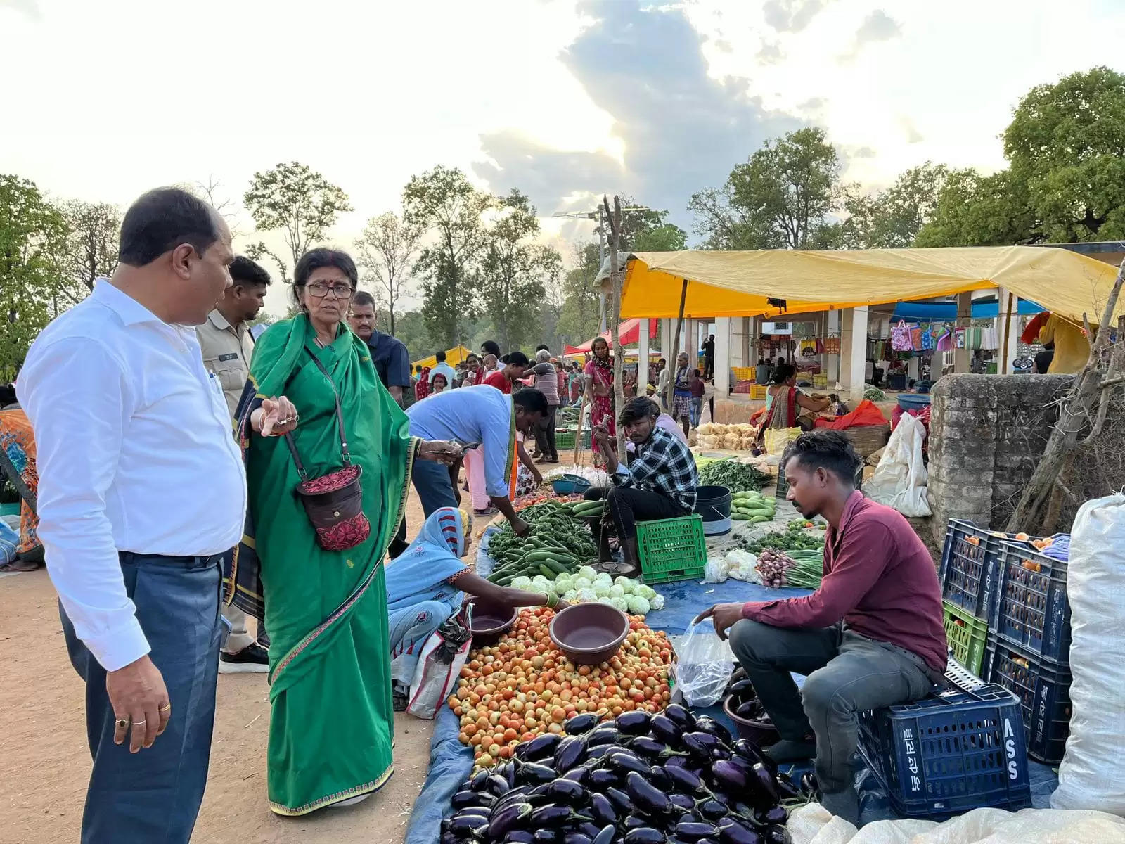 कांग्रेस की सरकार दूर करेगी गरीबी, महंगाई और बेरोजगारी : ज्योत्सना महंत