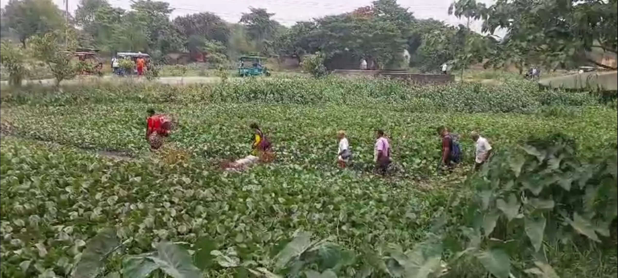 सीमा सील होने के कारण नेपाल में फंसे भारतीय पानी और जलकुंभी पार कर पहुंच रहे भारत