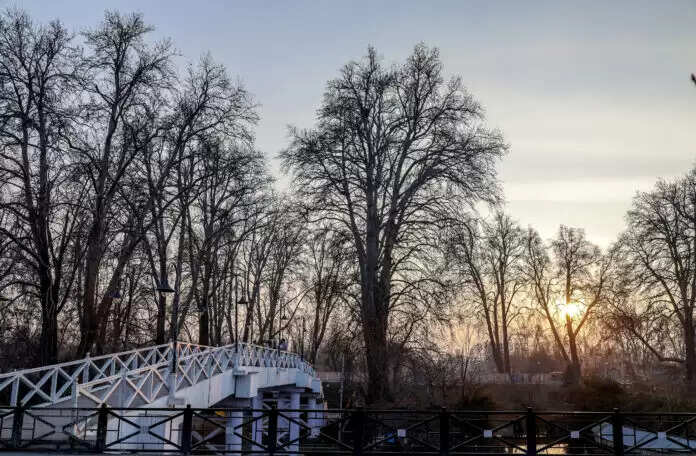 कश्मीर घाटी में श्रीनगर समेत कई स्थानों पर इस मौसम की सबसे ठंडी रात दर्ज, प्रसिद्ध डल झील सहित कई जल निकायों के किनारे जमे